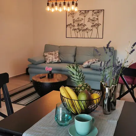 Lavender Rose Vodice