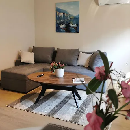 Lavender Rose * Vodice